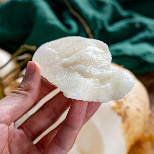 【广西凉薯】既当水果吃又当菜吃！比苹果高维C，比毛豆低热量，清甜又爽口！ 商品图4