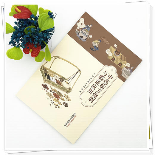 中药临方炮制与临证应用 刘兴文 李福兵 李波 主编 中国中医药出版社 商品图1