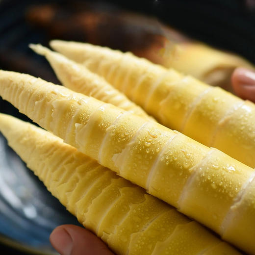 【临安天目山春笋】头茬现挖 原产地直发 脆甜多汁怎么做都好吃~ 商品图5