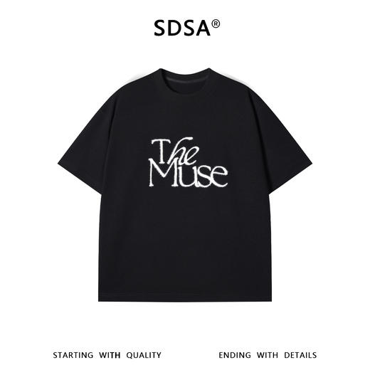 SDSA男装2026新款高贵轻奢美式简约撞色刺绣字母圆领短袖T恤百搭 商品图0