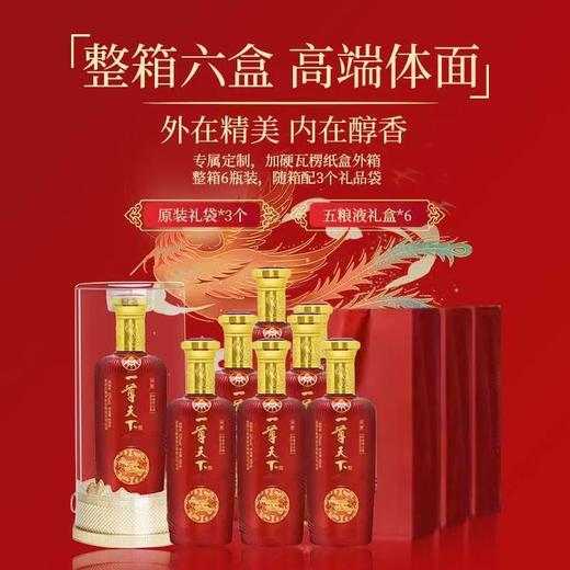 2023年五粮液一尊天下佳酿，52度浓香型白酒，整箱500ml*6瓶，每箱3个礼袋。 商品图3