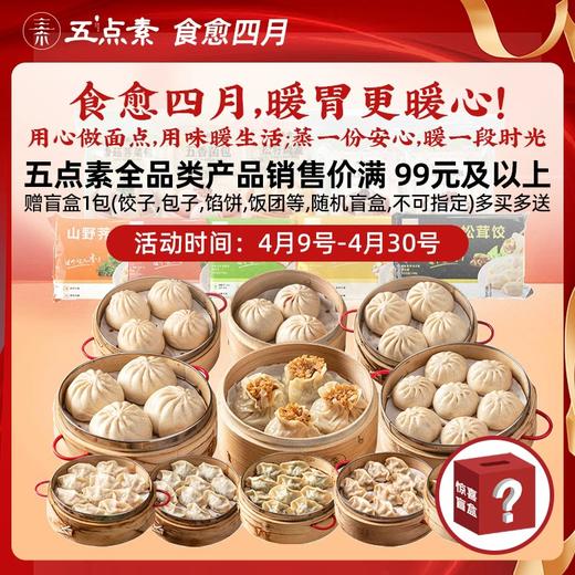 【买赠】纯素包子 老坛酸菜 红豆松子烧麦 荠菜香菇 五香菌菇 叉烧包  五点素 商品图0