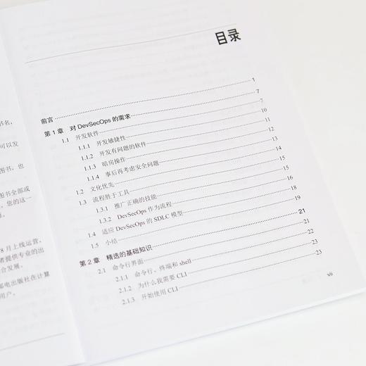 DevSecOps极简入门 商品图1