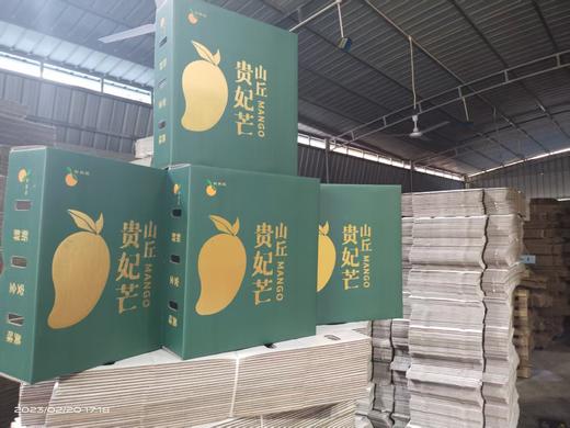 海南山丘贵妃芒【水果饮料】 商品图0