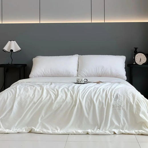 宝丽丝2.9斤蚕丝夏被，中国平安在保，专柜价2000+，特惠199入手 商品图4