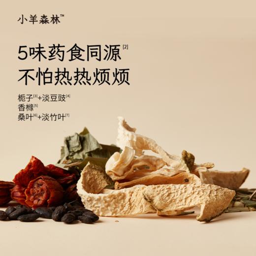 「去湿热套组」专为2岁以上宝宝设计，含五指毛桃茯苓饮+火清清，温和清理体内湿浊 商品图8