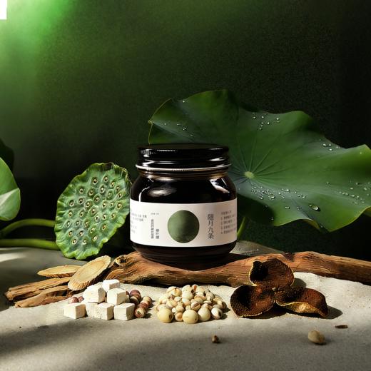 黄芪四神伏湿膏 商品图0