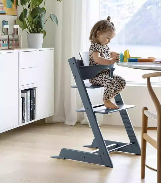 六件套 | 北欧Stokke Tripp Trapp儿童成长椅多功能学坐神器宝宝餐椅 餐椅TT 护栏套件 餐盘 安全带 新生儿套件 普通坐垫(随机款) 商品图2