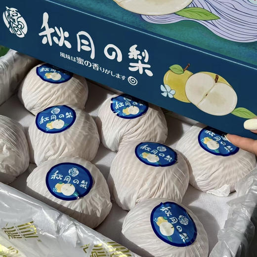 正宗冰糖秋月梨 商品图6
