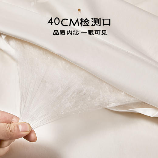 多喜爱 婉颂清扬桑蚕丝被/冬被/子母被【100%桑蚕丝长丝】【80S提花天丝棉】【内外双A品质】【缎纹大提花工艺】【双层边&花边】【40CM检测开口】【皮箱包装】巴马桑蚕长丝 双宫茧丝 千米长丝 商品图4