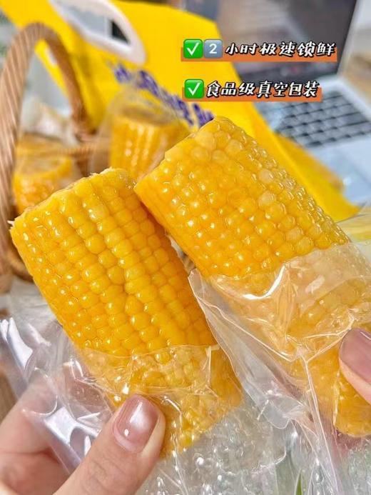 北极糯·有机糯玉米段 商品图3