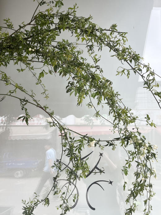 国产花材-【木香】白色 商品图4