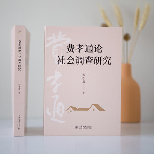 费孝通论社会调查研究 费孝通著 70年田野调查 一本书洞见中国社会本质 北京大学出版社旗舰店 商品图3