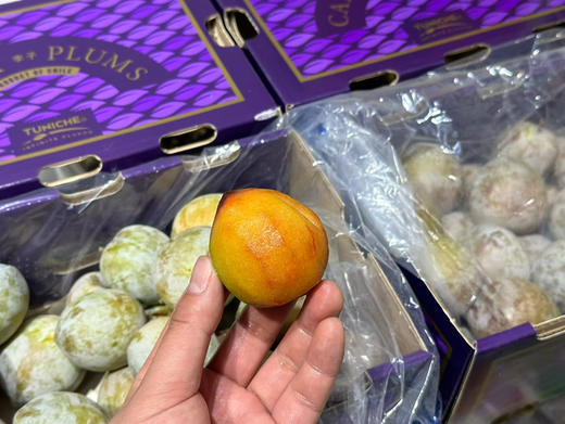 智利TUNICHE蜂蜜月李🍯

这颗李子直接把酸甜党狠狠拿捏😭 商品图3