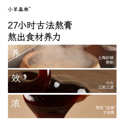 「去湿热套组」专为2岁以上宝宝设计，含五指毛桃茯苓饮+火清清，温和清理体内湿浊 商品图11