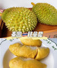 泰国托曼尼榴莲 商品缩略图0
