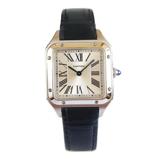 【95新】CARTIER 卡地亚WSSA0023石英机芯27.5*38MM（含表耳 女款）山度士系列精钢010426NJT24 商品图0