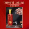 2023年五粮液一尊天下佳酿，52度浓香型白酒，整箱500ml*6瓶，每箱3个礼袋。 商品缩略图5