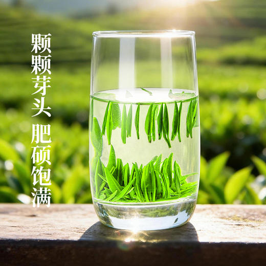 【2026明前新茶】金苔香恩施玉露 芽茶初玉雪芽48g尝鲜装 商品图2