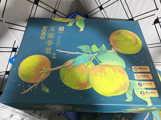 玉露香梨（领秀店） 商品图0