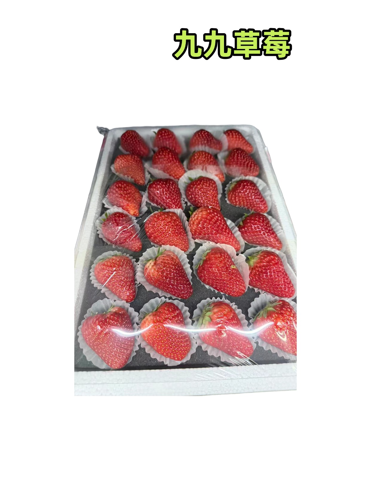 丹东九九草莓毛重2.5斤上下