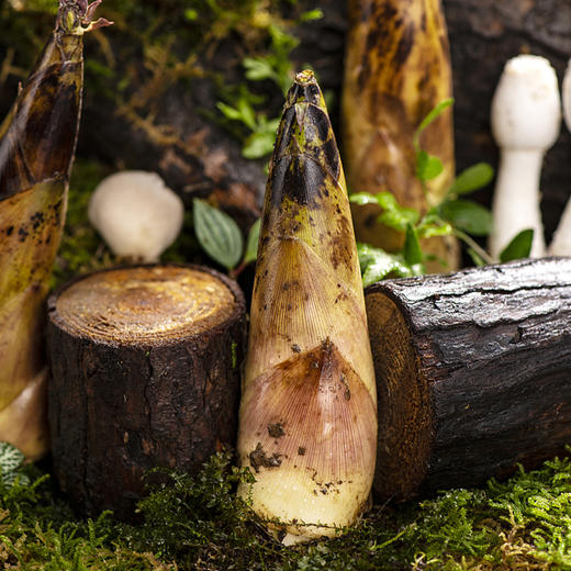 【临安天目山春笋】头茬现挖 原产地直发 脆甜多汁怎么做都好吃~ 商品图2