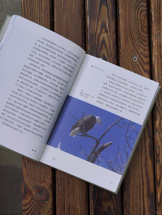 【首发限赠】独居荒野（精装），美国国家户外图书奖获奖作品，畅销全球50周年纪念版。远离人类，放逐荒野，独居阿拉斯加30年的山人日记。心向荒野，与世界保持诚实的距离。 商品图13