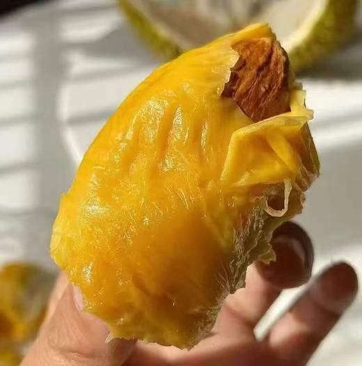 泰国托曼尼榴莲 商品图2