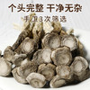 云南特色山珍 | 云南鹿茸菇干货 鹿茸菌蘑菇香菇类 炒菜/干锅/煲汤食材 100g/250g/500g 商品缩略图8