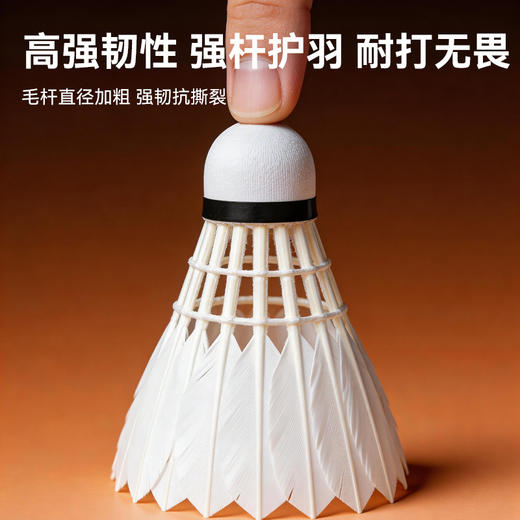 的幸均衡之翼1号羽毛球鹅毛耐打稳定 训练比赛用球12 只装 商品图4