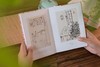 《老树画画·四季集锦》(涵套全4册）赠：文艺插画笔记本1个， 商品缩略图6