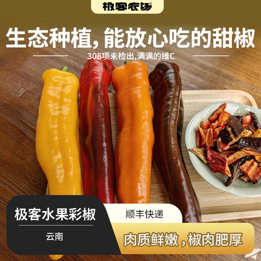 【排单发货】水果彩椒（颜色随机）| 产区云南，肉质肥厚，清甜多汁，生吃毫无违和感，可煮、炒、烤、蒸或烧烤，或作为沙拉配菜，开胃菜。⭐️顺丰快递 商品图0
