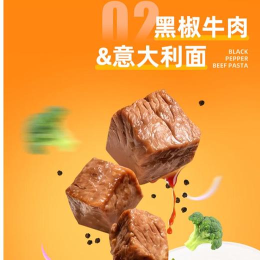 叮食记黑椒牛肉意面220.5g 商品图0