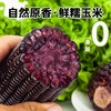 【醒粉福利19.9元8根（不低于4斤）】吉林·鲜糯黑玉米 身材管理期必备 商品缩略图4