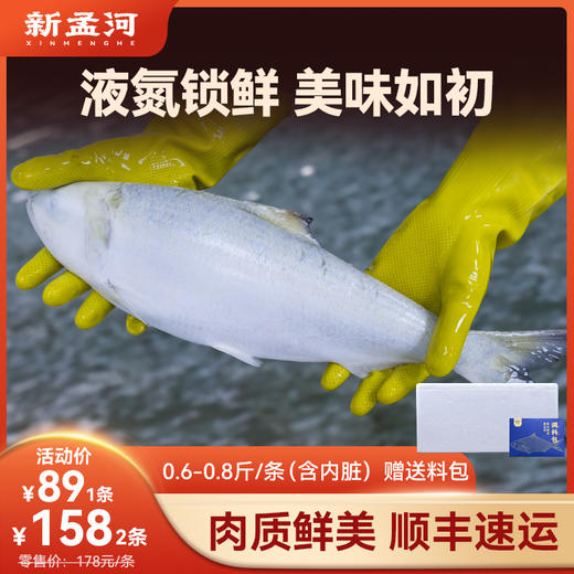 【液氮鲥鱼】新孟河鲥鱼 0.6-0.8斤/条（含内脏）  送调料包 顺丰速运 珍惜鱼种 商品图0