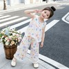 童洛萌女童套装夏季新款洋气儿童宝宝花边无袖背心时尚阔腿裤两件套90-150 商品缩略图1