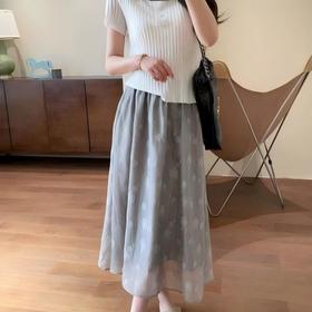 SUSX品牌2026新款香奈儿同款半裙C2288005（下单3-7天发货）
