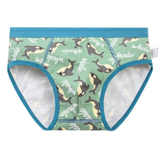 【49元4条装】三角男孩内裤纯棉男童卡通男生儿童内裤纯棉a类男童-K800、K811、K812 商品图4