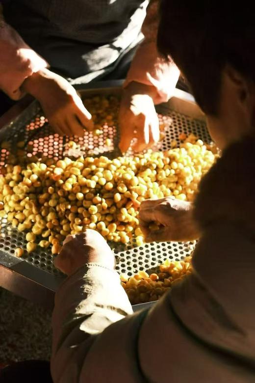 艺旅x黑珍珠餐厅联袂出品 野生金山豆礼盒天然无添加健康零食送礼佳品 商品图4