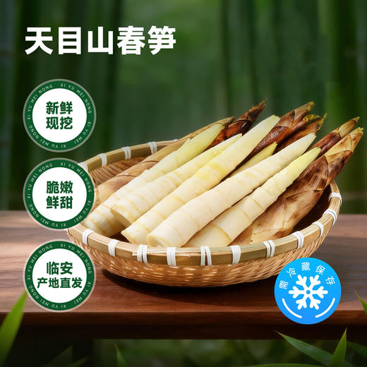 【临安天目山春笋】头茬现挖 原产地直发 脆甜多汁怎么做都好吃~ 商品图3