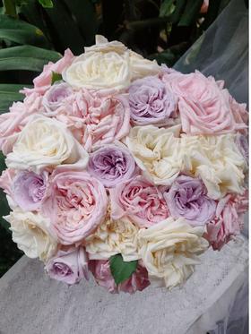 荔枝系列单头玫瑰20枝