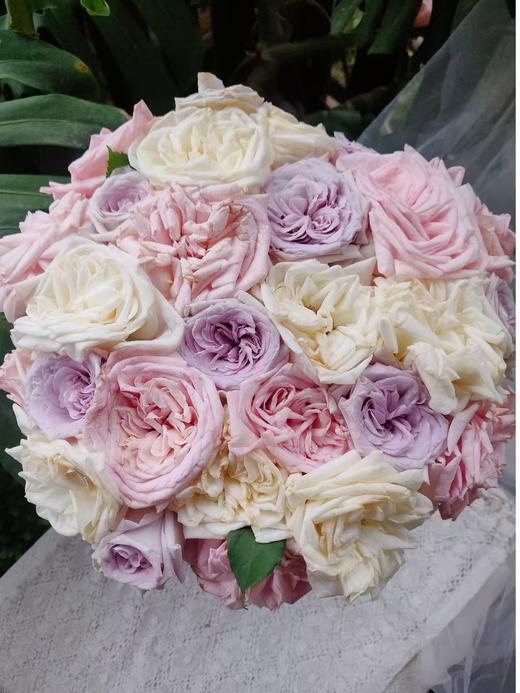 荔枝系列单头玫瑰20枝 商品图0