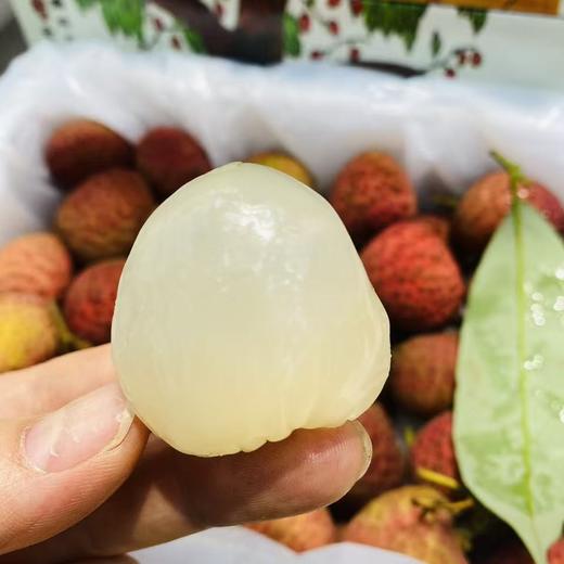 老树桂花香荔枝（约2.5斤） 商品图0