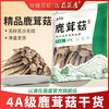 云南特色山珍 | 云南鹿茸菇干货 鹿茸菌蘑菇香菇类 炒菜/干锅/煲汤食材 100g/250g/500g 商品缩略图7