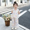 童洛萌女童套装夏季新款洋气儿童宝宝花边无袖背心时尚阔腿裤两件套90-150 商品缩略图3