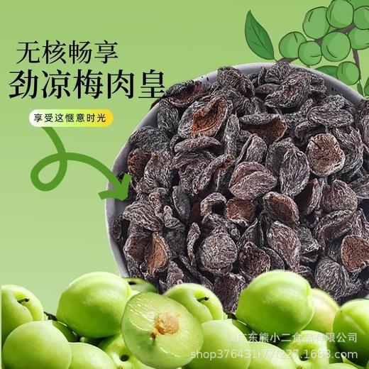 【潮汕风味】劲凉梅肉皇怀旧潮汕风味梅肉果脯蜜饯追剧解馋小零食 商品图1