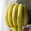 【斌哥优选】云南威尼斯香蕉。top级稀有极品香蕉，超甜。只发单根3-4两一级蕉，软糯丝滑如奶油~ 商品缩略图5