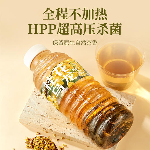 【HPP系列】如果HPP系列冷萃茶 青柑普洱 茉莉飘雪 桂花乌龙 原叶冷萃 商品图3