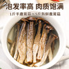 云南特色山珍 | 云南鹿茸菇干货 鹿茸菌蘑菇香菇类 炒菜/干锅/煲汤食材 100g/250g/500g 商品缩略图6