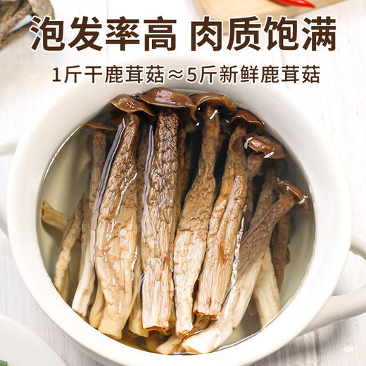 云南特色山珍 | 云南鹿茸菇干货 鹿茸菌蘑菇香菇类 炒菜/干锅/煲汤食材 100g/250g/500g 商品图6
